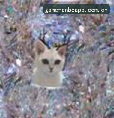 张猛